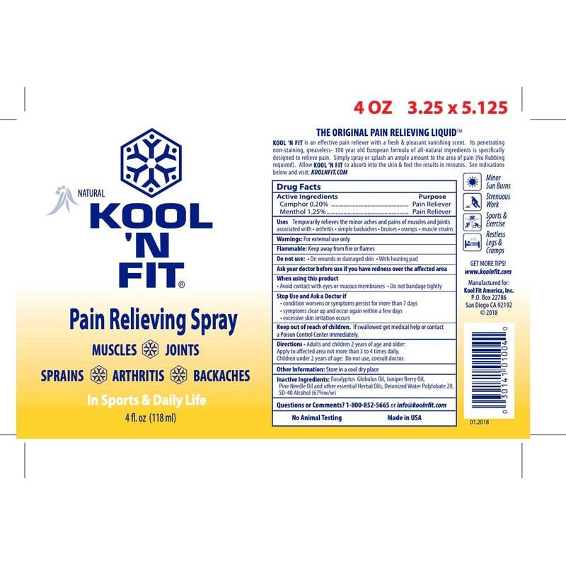 Kool N FIt Pain Fluid (4 -Ounce)