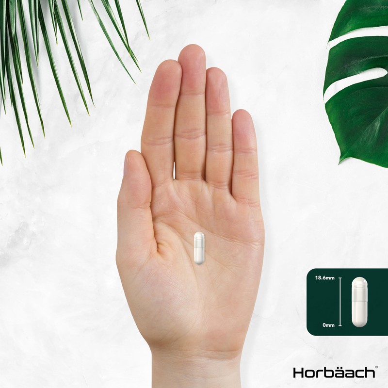 Horb?ach Palmitoylethanolamide Pea 450mg | Levagen Plus Pea | 90