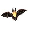 Toob "Safari Incredible Creatures Townsend's Big-Eared Bat Miniature (Multi-Colour)