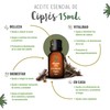 OLEUM VITAE Kit de Aceites Esenciales Balance. 100% Puros y