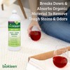 Biokleen Bac-Out Stain and Odor Remover - 16 Ounce -