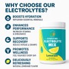 Electrolyte Powder – Zero Sugar Lemon Hydration Mix | 90