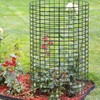 30 Pcs 24'' x 12'' Large Wire Plant Protector from