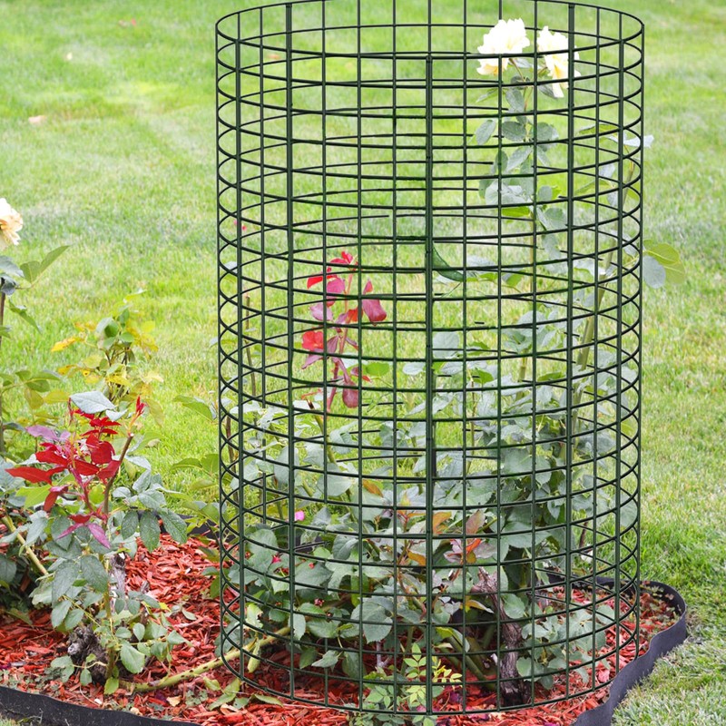30 Pcs 24'' x 12'' Large Wire Plant Protector from