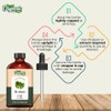 ORGANIC ZING Organic Zing Brahmi (Bacopa monnieri) Oil | Pure