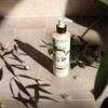 Jeanne en Provence Body Lotion & Divine Olive &