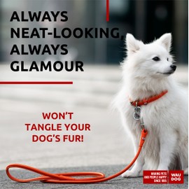 Rolled Leather Dog Leash 4Ft * 0.3 in for Small Medium and Large Dogs - Heavy Duty Leather Puppy Leash for Outdoor Walking Running Training - Strong Dog Leashes for Large Breed Dogs (Orange)