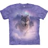 The Mountain mens Northern Lights T Shirt, Purple, Medium US