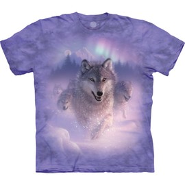 The Mountain mens Northern Lights T Shirt, Purple, Medium US