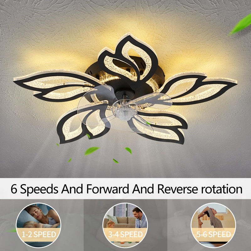 haodengshi 25" Black Geometric Ceiling Fan with Lights and Remote