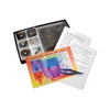 American Educational Fossil Hunt Kit