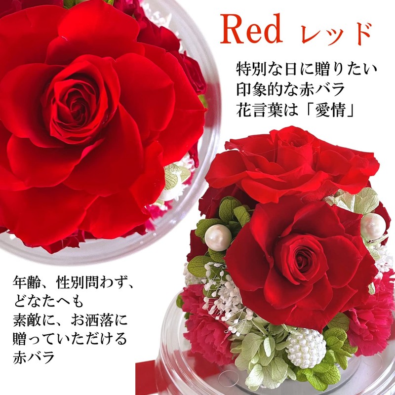Florist Mann Preserved Flowers, 60th Birthday Celebration, Women, Red, Mother,