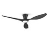 TALOYA Ceiling Fans with Lights,52 inch Modern Low Profile Ceiling