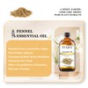 EUQEE EUQEE Fennel Essential Oil 4Fl.Oz Pure Fennel Oil with