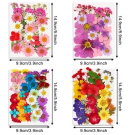 Augshy 141Pcs Dried Pressed Flowers for Resin, Natural Dried Flowers Real Pressed Flower for Crafts, Resin Mold Scrapbooking, Candle, Soap Making DIY, Epoxy Resin Supplie
