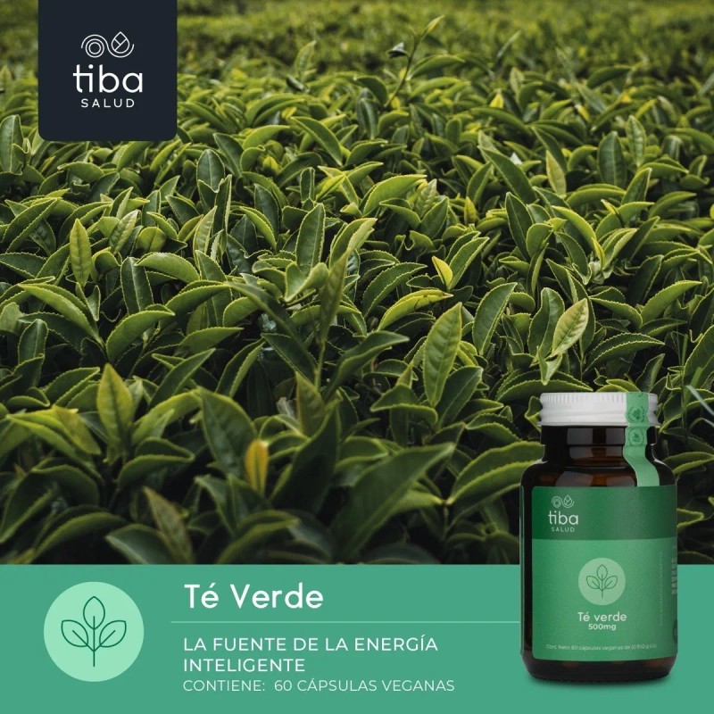 Triple Pack Energía Té Verde 180 Cápsulas | Tiba Salud