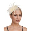 Fascinators Hats for Women Tea Party Headband Kentucky Derby Hat