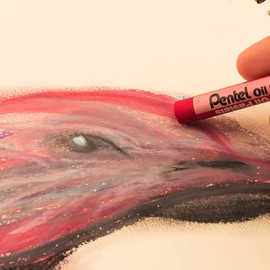 Pentel Arts Oil Pastels, 12 Color Set (PHN-12)