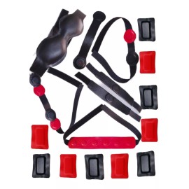 Magnetic life Kit Biomagnetismo, Magnetoterapia 6 Accesorios Y 10 Imanes