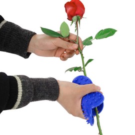 LUFOX - 2 piezas de plástico para quitar espinas y espinas, herramienta para quitar espinas y hojas, podadoras de jardín