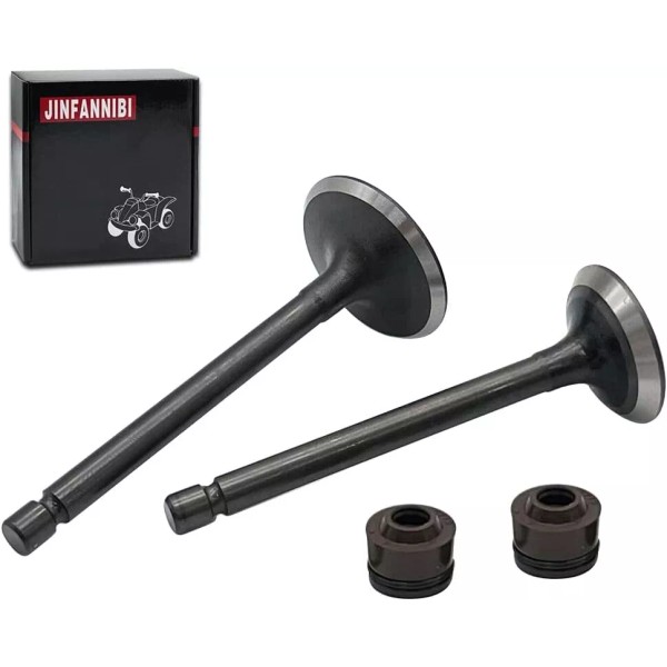 JINFANNIBI Cylinder Head Intake Exhaust Valves for Yamaha TTR125 TTR125L