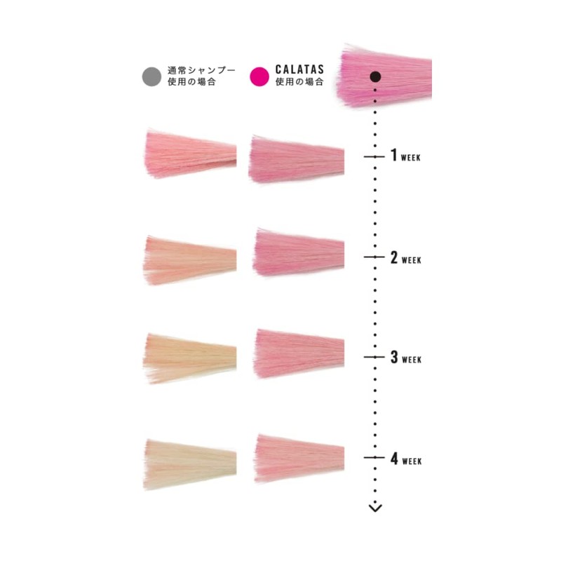 Calatas Salon by Caratas [Pk Pink Series] Shampoo or Treatment