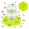 Tributary Brands Bee Feeder for Mason Jar Made of Silicone