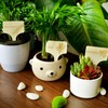 15Pcs Plant Label Plant Herb Tag
