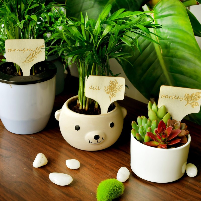 15Pcs Plant Label Plant Herb Tag