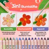 colozoo Gecko 3-in-1 Children's Pencils Set, 48 Children's Pencils Set