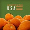 BIGS Pumpkin Seeds, Simply Salted Homestyle Flavor, 5 oz. (Pack