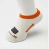 TETSUSHITA Chuo Line Socks, Train Goods