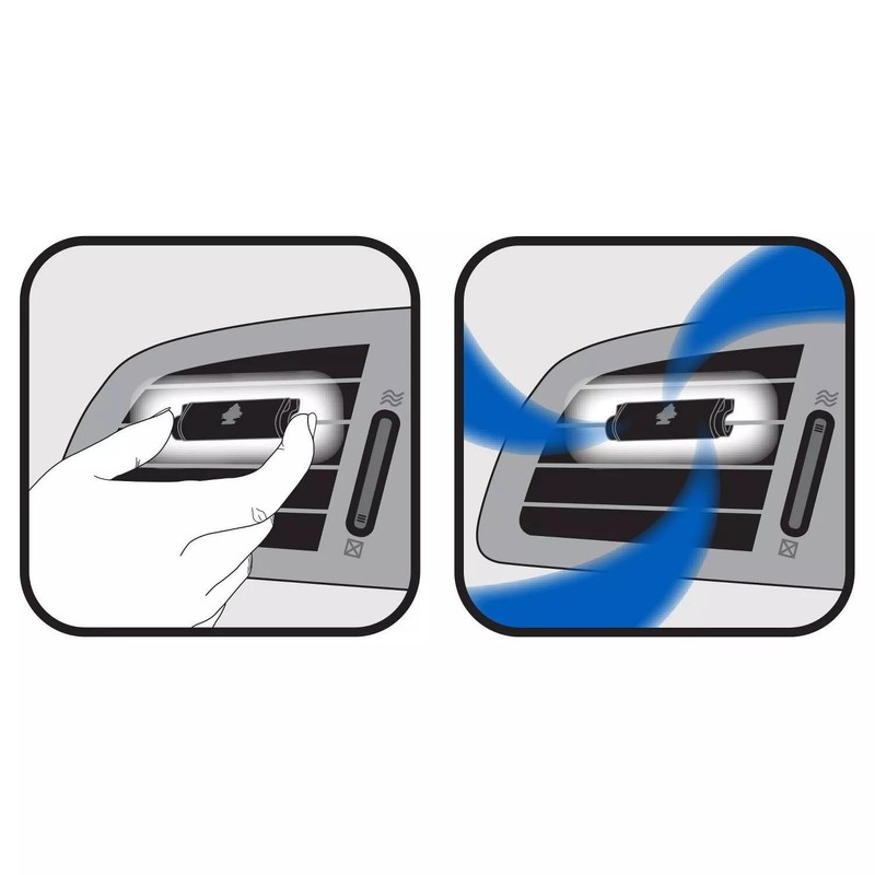 Little Trees CTK-52733-24: New Car Scent