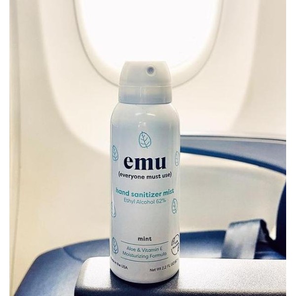 Everyone Must Use mint 3 or 6ct hand sanitizer mist