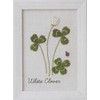 LECIEN 0000542004 Embroidery Kit, Kazuko Aoki 12 Months Plant Book,