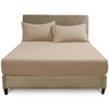 GC GAVENO CAVAILIA 4ft Fitted Bed Sheet- Polycotton Small Double