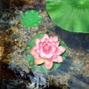 Lightingsky Artificial Floating Foam Lotus Flower Pond Decor Water Lily