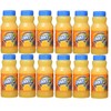 BEEQ BOX - Pack of 12 SunnyD Tangy Original Orange