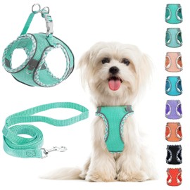 No Pull Dog Harness and Leash Set - Adjustable Reflective Breathable Mesh Step in Easy Walk for Extra Small/Small Medium Dogs Cats Puppy (Green, L)