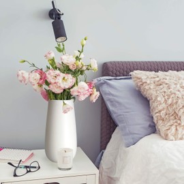 D'vine Dev 10 Inch Ivory Elegant Oval Ceramic Vase for Flowers, Home Décor Vase with Design Box, VS-LD-B-2