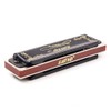Diatonic Blues Harmonica 10 Holes Blues Harmonica 20 tones black
