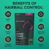 VetriScience Hairball Control Chews, Gentle Hairball Remedy for Cats, Omega-3