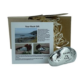 Pirantin 8th Anniversary You Are My Rock Gift Idea - Solid Metal Heavy Polished Rock Gift for 8 Year Anniversary