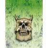 Hansa 410195 Skull 2 Large Stencil