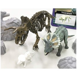 Incapable Buddy, Inc. Dinosaur Museum AR Triceratops (Painted/Assembly Type Skeleton Mini Skeleton, Figures, Set Spectacle)