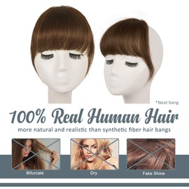 BARSDAR Clip in Fringe Human Hair 100% Real Hair Fringe Extensions Clip in French Bangs Fringe with Temples Clip on Fringe Bangs Real Hair Pieces for women Natural Color Washable/Dye-able 6#