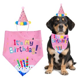 Dog Birthday Bandana Hat Set Dog Birthday Party Accessories, Funny Dog Birthday Accessory, Adjustable Neckerchief and Party Hat, Pink