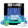 Animal Creatine Chews – Enhanced Creatine Monohydrate Chewable Tablets with