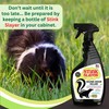 Mold Monster Stink Slayer Odor Remover (22 oz) - Eliminate
