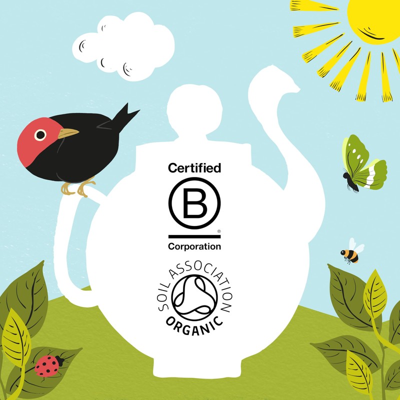 Clipper Tea, Organic Fairtrade Everyday, Organic, USDA Non-GMO, Fair Trade,